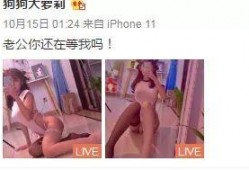 玩偶爆料视频在线观看,揭秘幕后秘密，带你走进虚拟世界的真实面纱