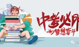 新湖总场爆料最新消息视频,最新消息视频深度解析