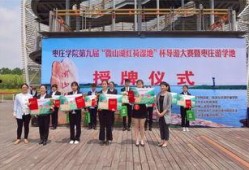 枣庄导游爆料视频大全,视频大全中的独特魅力与历史故事