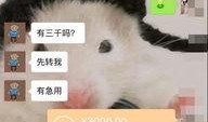 潮汕渣男爆料视频,揭秘视频揭露的惊人真相
